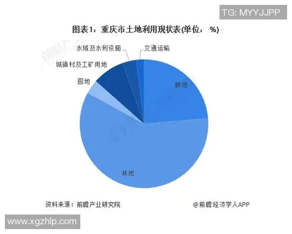 重庆乒乓球队的节奏分析与发展策略探讨 重庆乒乓球队的节奏分析与发展策略探讨