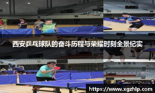jn江南体育